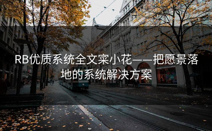 RB优质系统全文寀小花——把愿景落地的系统解决方案