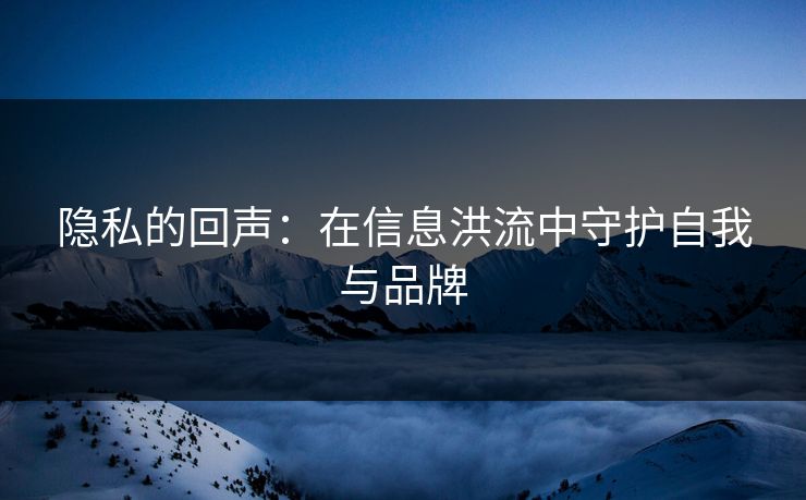 隐私的回声：在信息洪流中守护自我与品牌