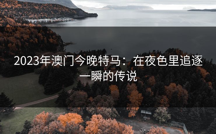 2023年澳门今晚特马：在夜色里追逐一瞬的传说