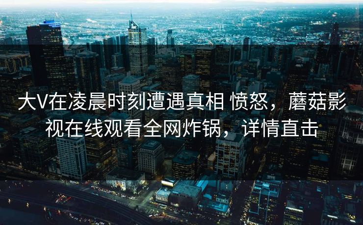 大V在凌晨时刻遭遇真相 愤怒，蘑菇影视在线观看全网炸锅，详情直击